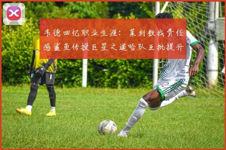 韦德回忆职业生涯：莱利教我责任感鲨鱼传授巨星之道哈队互批提升自我